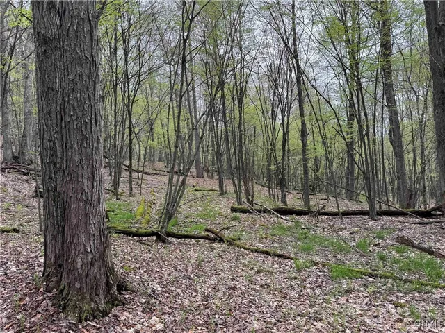 $20,000 | Kansas Hollow Road, Bolivar, NY 14715