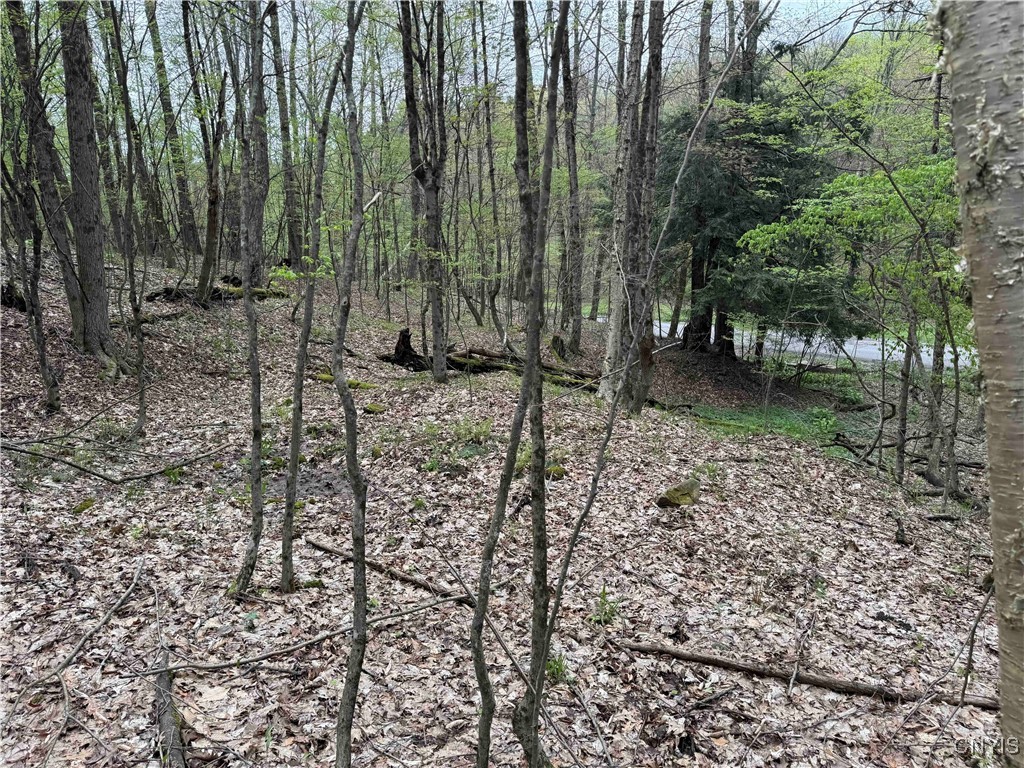 Kansas Hollow Road Bolivar, NY 14715 - Photo 29 of 35