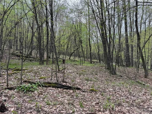 $20,000 | Kansas Hollow Road, Bolivar, NY 14715