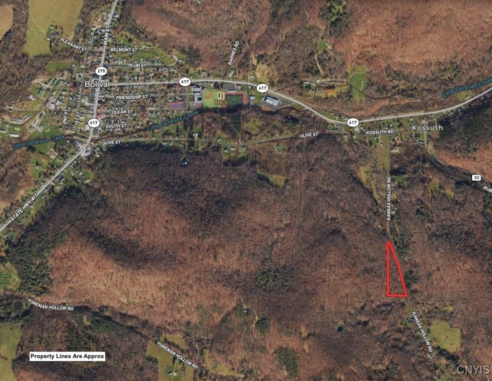 Kansas Hollow Road Bolivar, NY 14715 - Photo 3 of 35