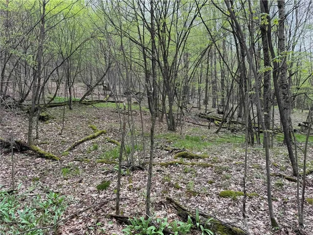 $20,000 | Kansas Hollow Road, Bolivar, NY 14715