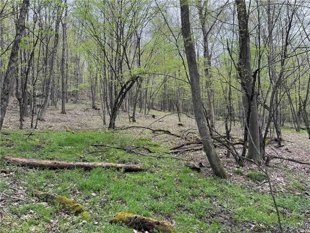 $20,000 | Kansas Hollow Road, Bolivar, NY 14715