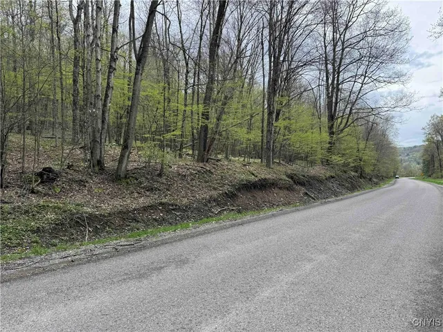 $20,000 | Kansas Hollow Road, Bolivar, NY 14715