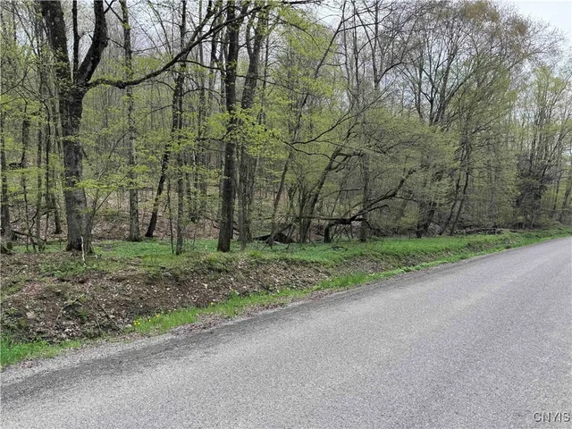 $20,000 | Kansas Hollow Road, Bolivar, NY 14715