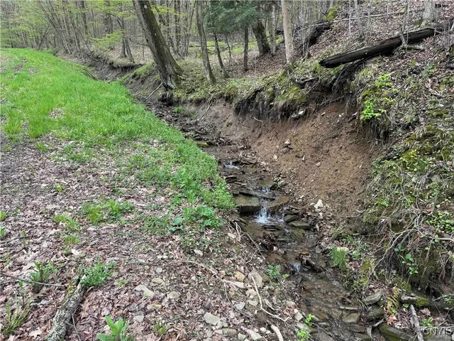 $20,000 | Kansas Hollow Road, Bolivar, NY 14715