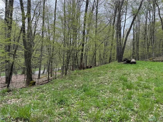 $20,000 | Kansas Hollow Road, Bolivar, NY 14715
