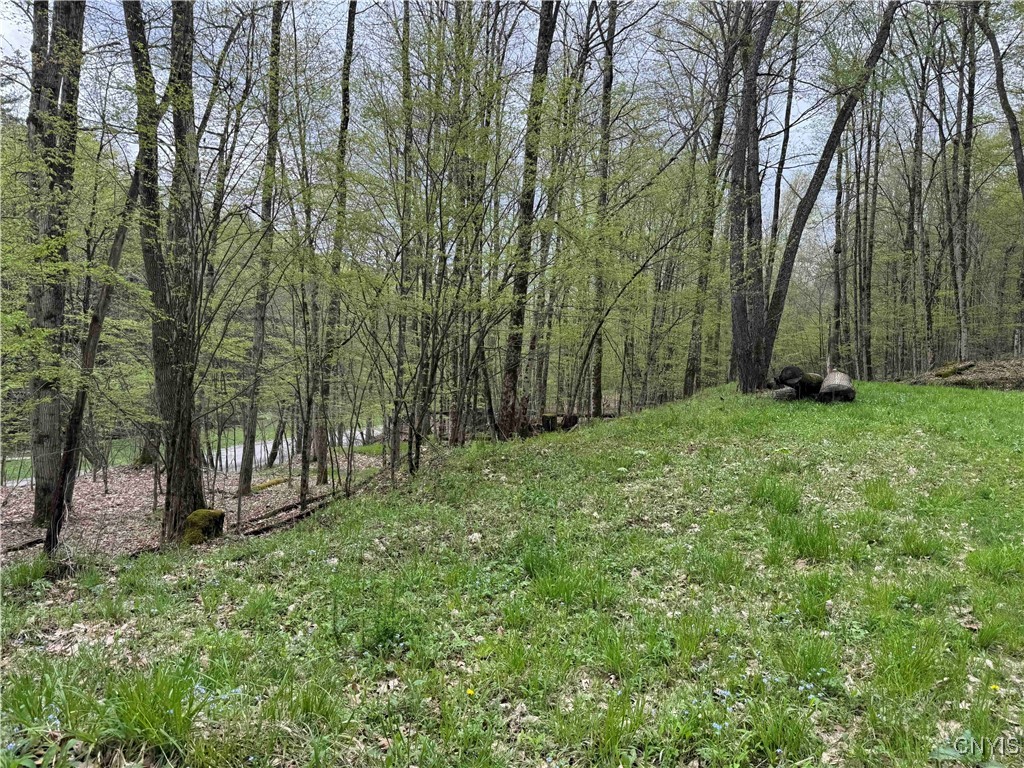 Kansas Hollow Road Bolivar, NY 14715 - Photo 6 of 35