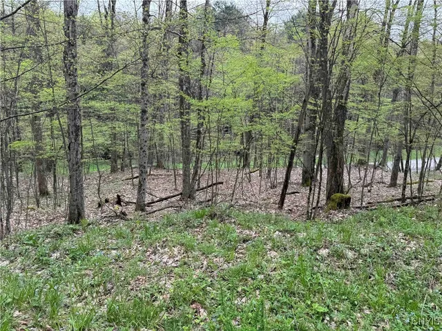 $20,000 | Kansas Hollow Road, Bolivar, NY 14715
