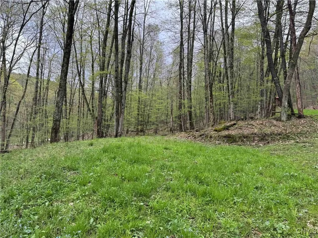 $20,000 | Kansas Hollow Road, Bolivar, NY 14715