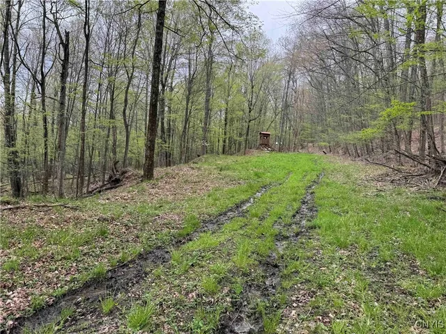 $20,000 | Kansas Hollow Road, Bolivar, NY 14715