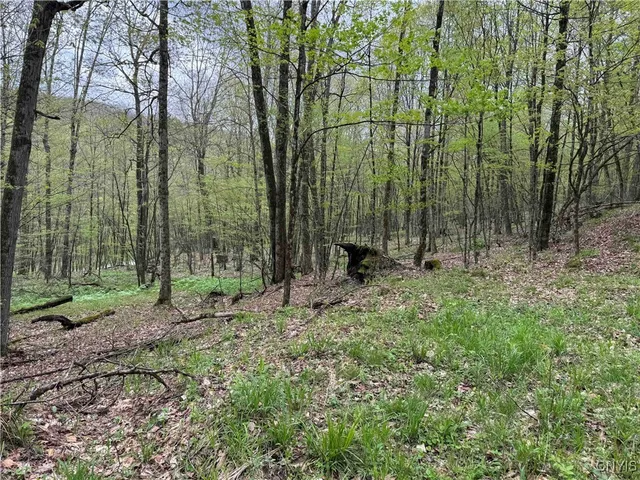 $20,000 | Kansas Hollow Road, Bolivar, NY 14715