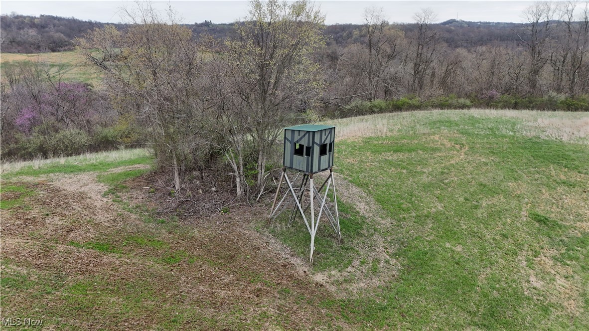 0 Parry Hollow Road Caldwell, OH 43724 - Photo 2 of 5 Exterior view of a wooded view