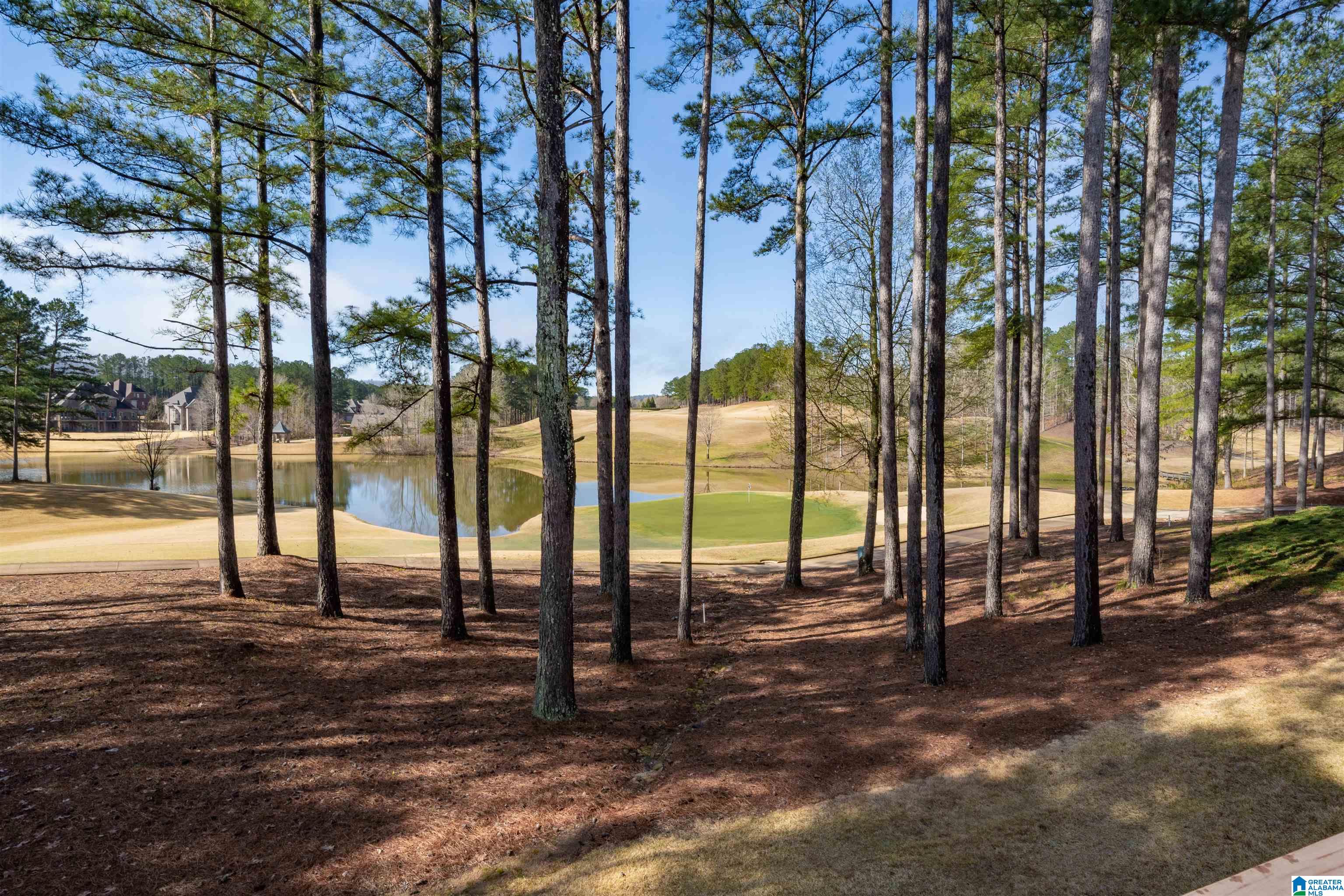 113 Kilkerran Way Pelham, AL 35124 - Photo 5 of 46