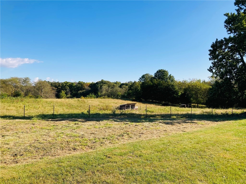 367 County Highway Xenia, IL 62899 - Photo 14 of 29