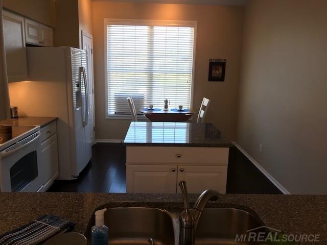 1659 Maple Creek Court Rochester, MI 48306 - Photo 37 of 48 Kitchen
