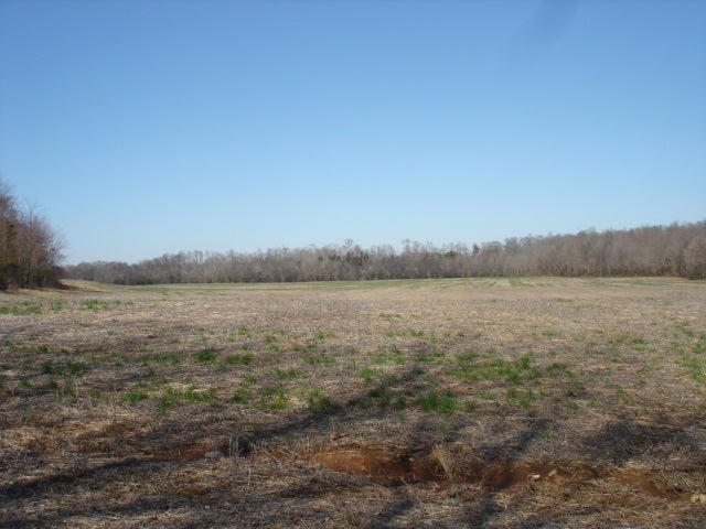 0 Minnicks-Johnson Road Franklin, KY 42134 - Photo 10 of 12 Gallery Image 10