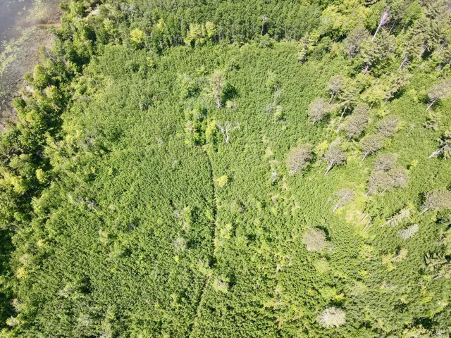 $325,000 | Tbd Guile Lake Road, Cohasset, MN 55721