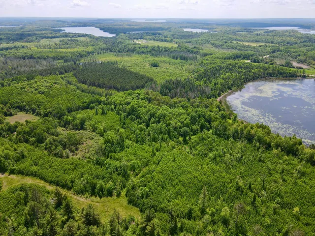 $325,000 | Tbd Guile Lake Road, Cohasset, MN 55721