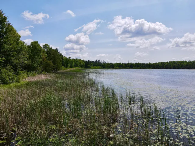 $325,000 | Tbd Guile Lake Road, Cohasset, MN 55721