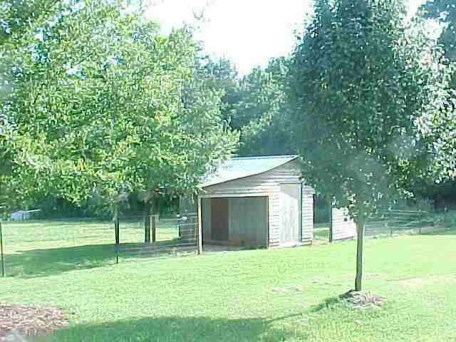166 State Rd S-37-54 Seneca, SC 29678 - Photo 4 of 5 Gallery Image 4