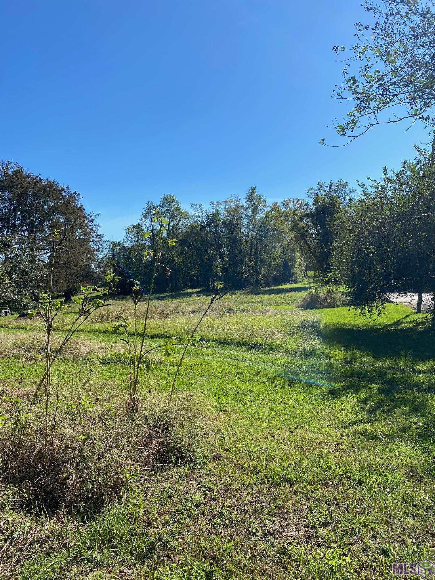 0 Island Road Jarreau, LA 70749 - Photo 2 of 4