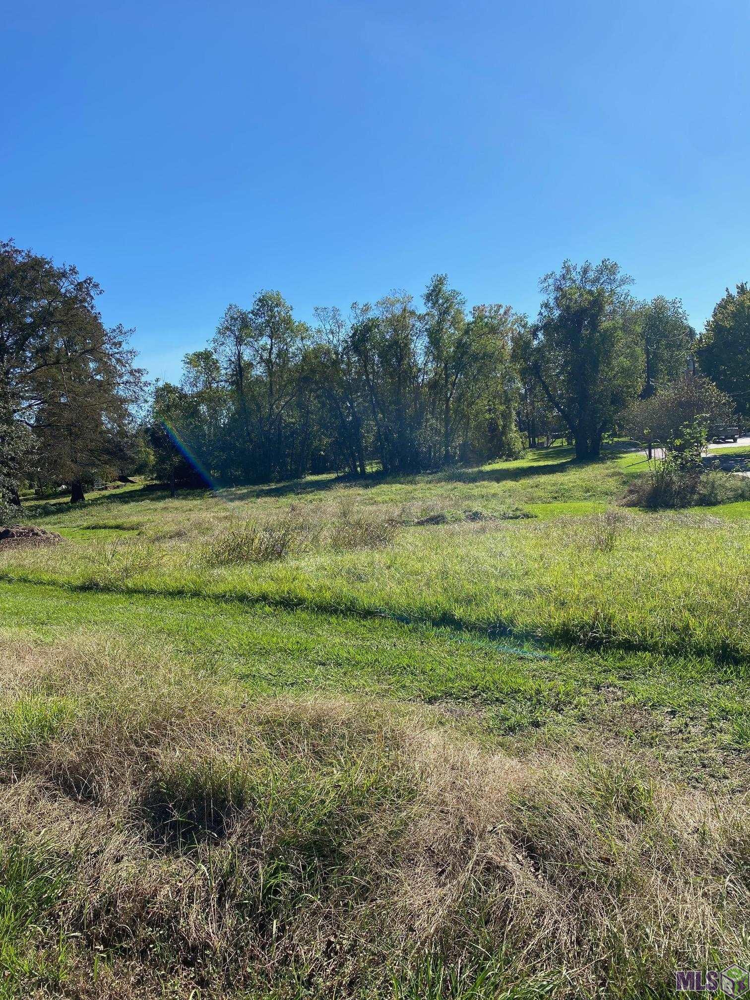 0 Island Road Jarreau, LA 70749 - Photo 3 of 4