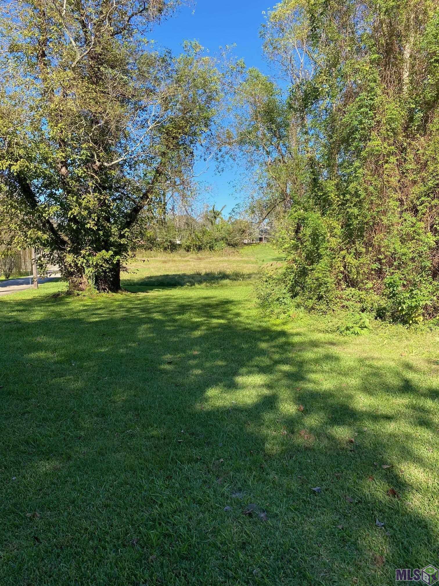 0 Island Road Jarreau, LA 70749 - Photo 4 of 4