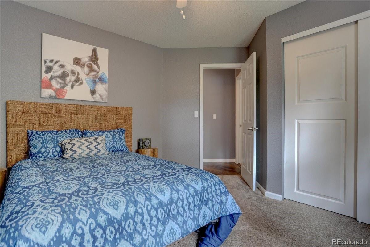 30968 Witteman Road Conifer, CO 80433 - Photo 16 of 38 Gallery Image 16