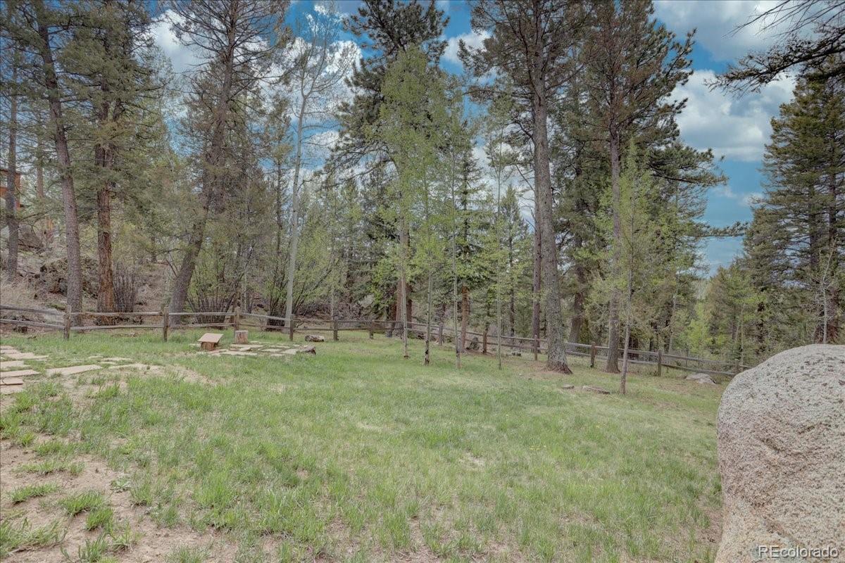 30968 Witteman Road Conifer, CO 80433 - Photo 31 of 38 Gallery Image 31