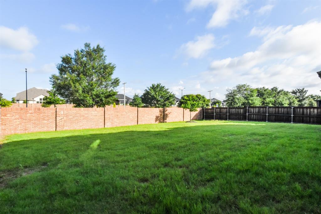 2516 Maidenhair Road Frisco, TX 75033 - Photo 30 of 30 a view of a garden