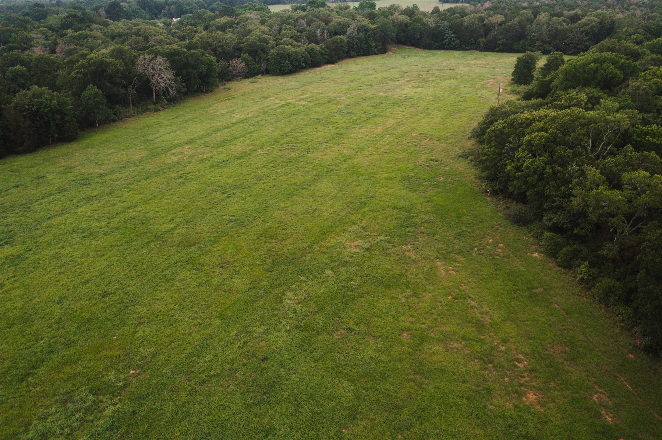 0 St Delight Road Paige, TX 78659 - Photo 2 of 11 a view of a field with an outdoor space