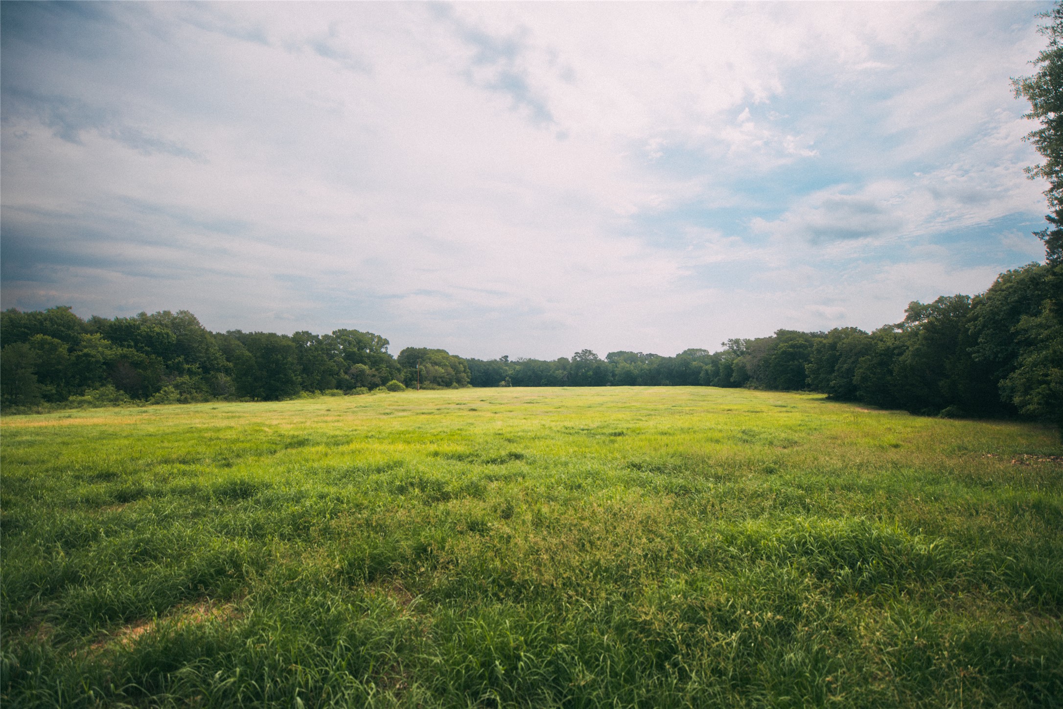 0 St Delight Road Paige, TX 78659 - Photo 4 of 11 a view of an ocean and mountain