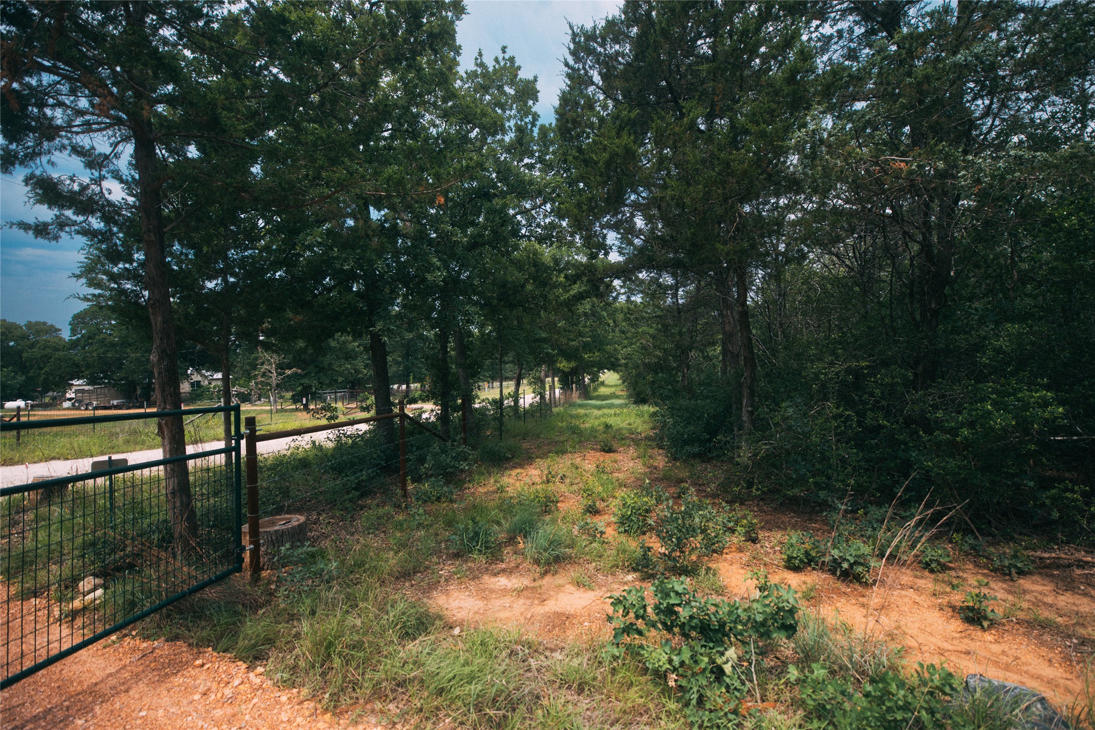 0 St Delight Road Paige, TX 78659 - Photo 9 of 11 a backyard of a house with lots of green space and fountain