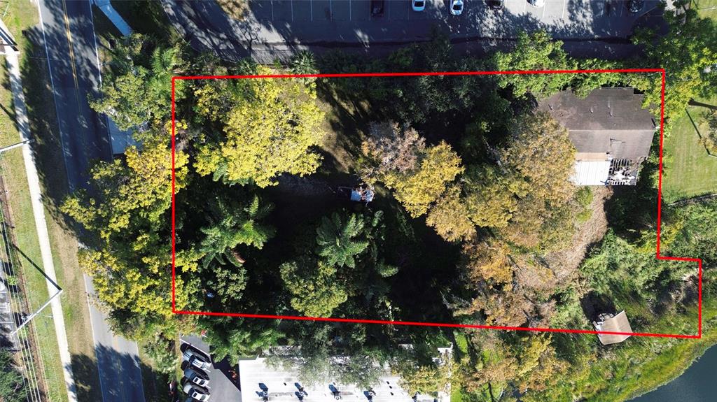 4711 Rio Grande Avenue Orlando, FL 32839 - Photo 1 of 38 a bunch of flowers and trees in a yard