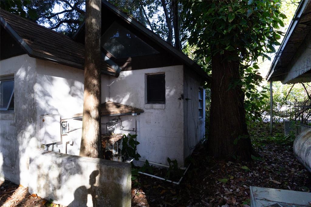 4711 Rio Grande Avenue Orlando, FL 32839 - Photo 15 of 38 a view of backyard with potted plants and a large tree