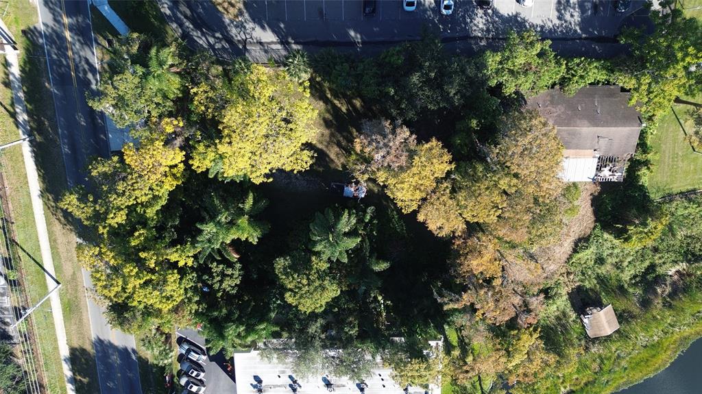 4711 Rio Grande Avenue Orlando, FL 32839 - Photo 2 of 38 a plant that is in a garden