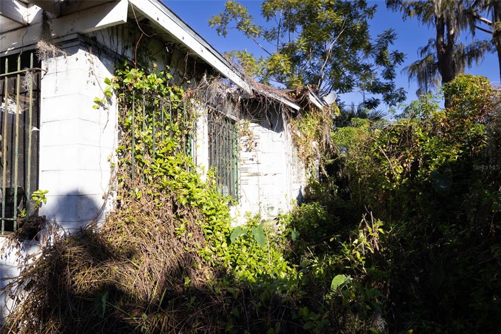 4711 Rio Grande Avenue Orlando, FL 32839 - Photo 28 of 38 a picture of flowers