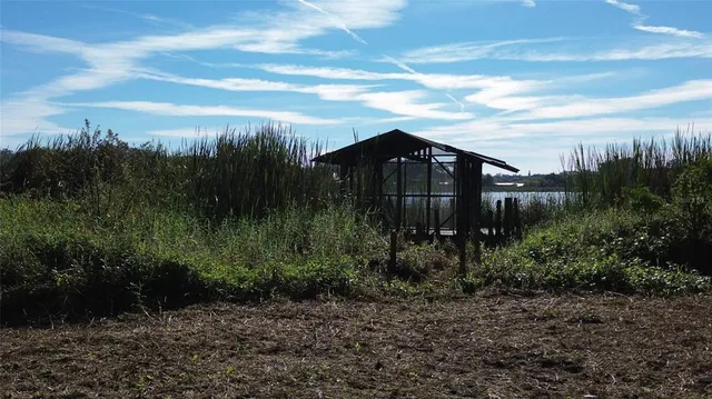 a view of a garden with a pathway