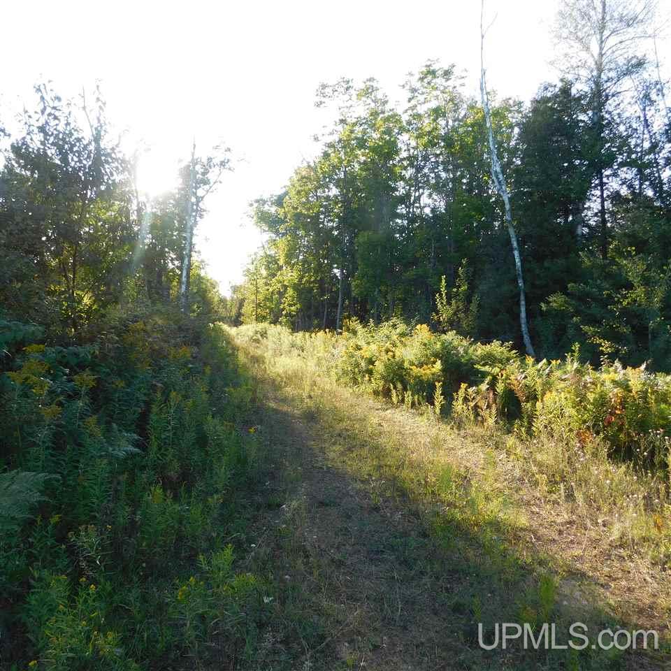 Tbd Off Murray Road Perronville, MI 49873 - Photo 20 of 27
