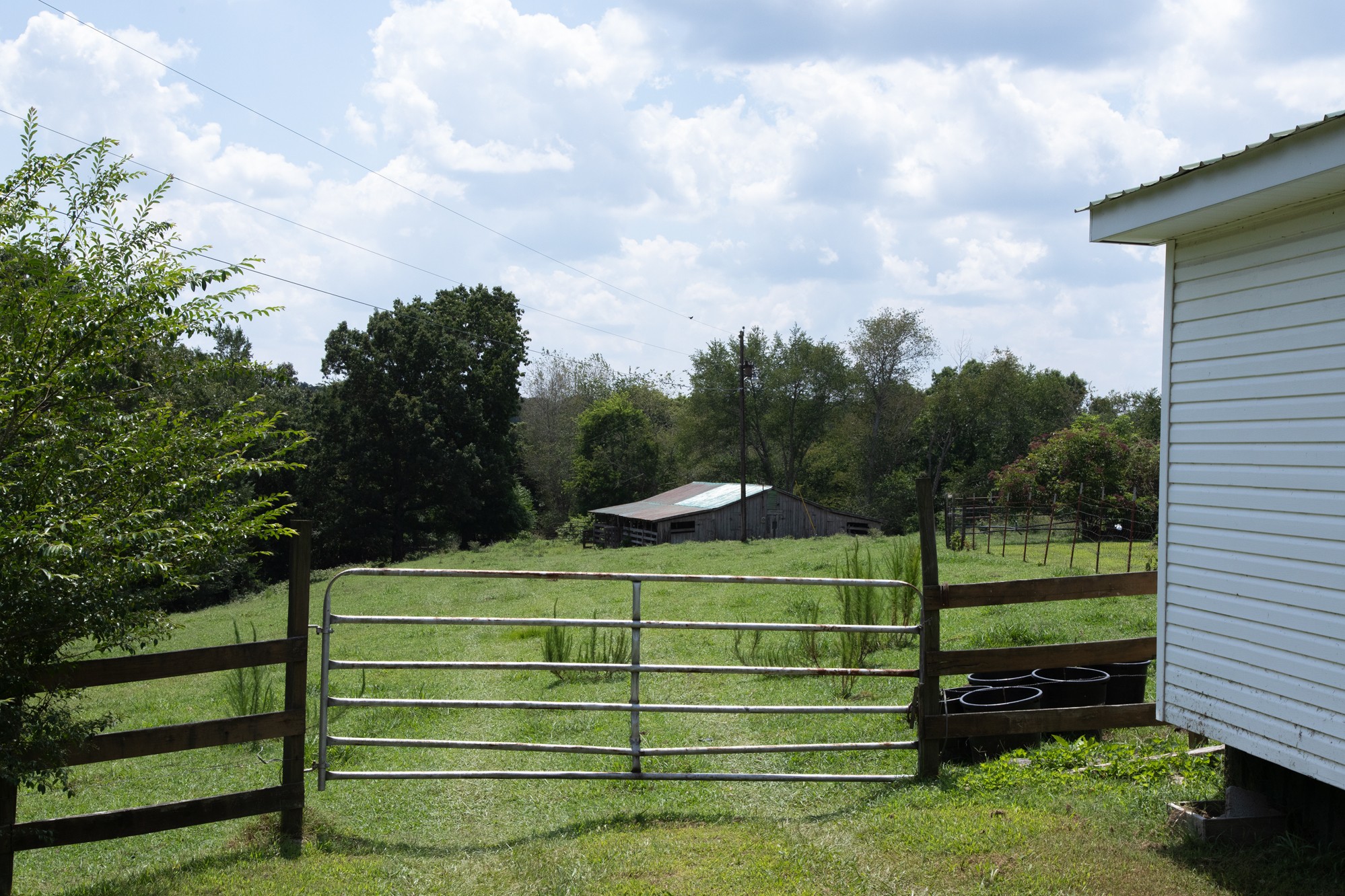 159 Trace Creek Road Hohenwald, TN 38462 - Photo 11 of 42 a view of a wooden fence