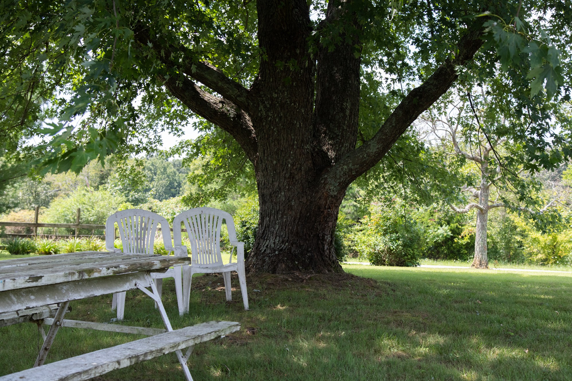 159 Trace Creek Road Hohenwald, TN 38462 - Photo 14 of 42 a backyard of a house with table and chairs