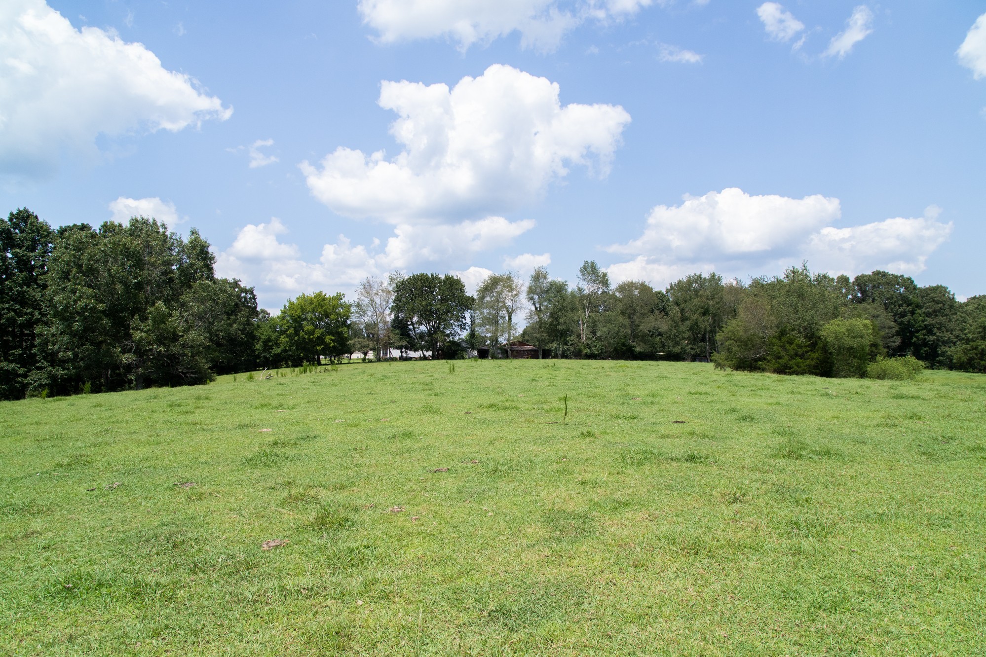 159 Trace Creek Road Hohenwald, TN 38462 - Photo 16 of 42 a view of outdoor space and yard