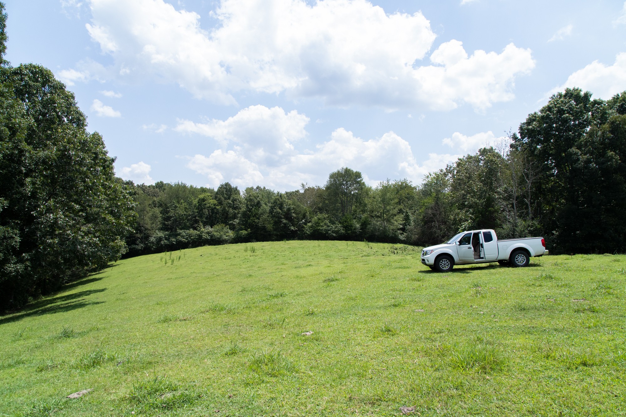 159 Trace Creek Road Hohenwald, TN 38462 - Photo 17 of 42 a view of a big yard with potted plants and mountain