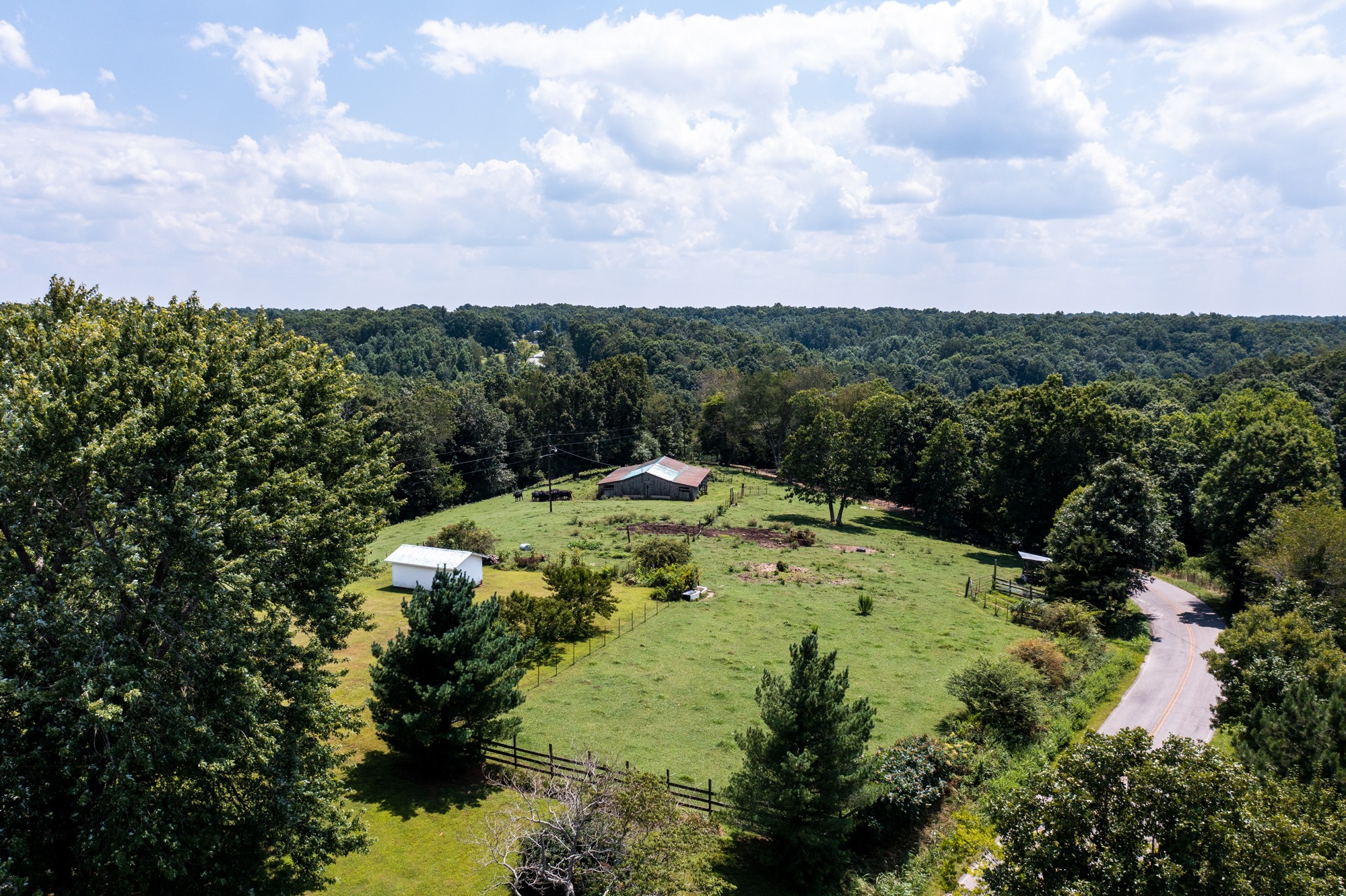 159 Trace Creek Road Hohenwald, TN 38462 - Photo 22 of 42 a view of a garden with an ocean