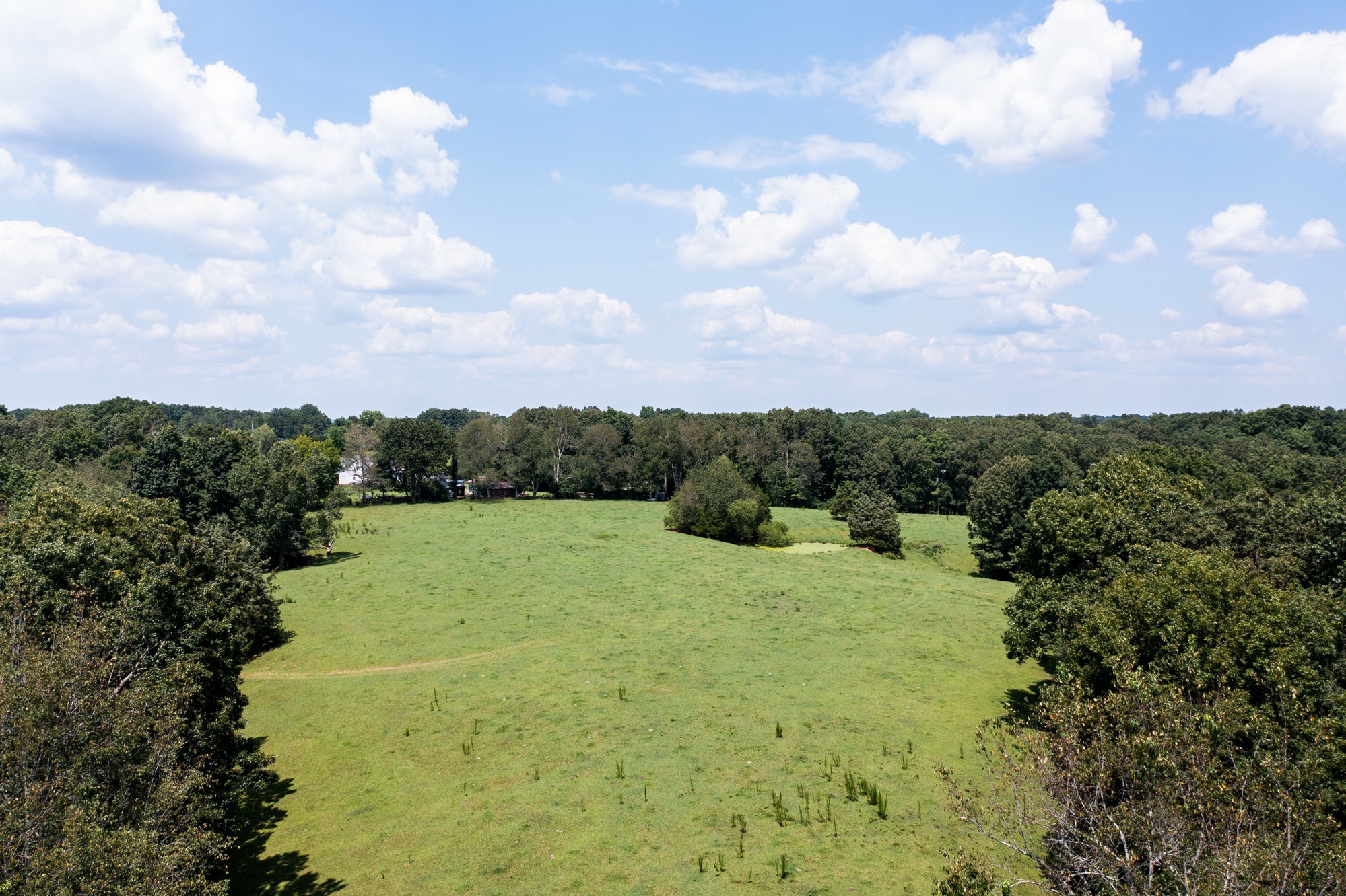 159 Trace Creek Road Hohenwald, TN 38462 - Photo 25 of 42 a view of an outdoor space and a yard