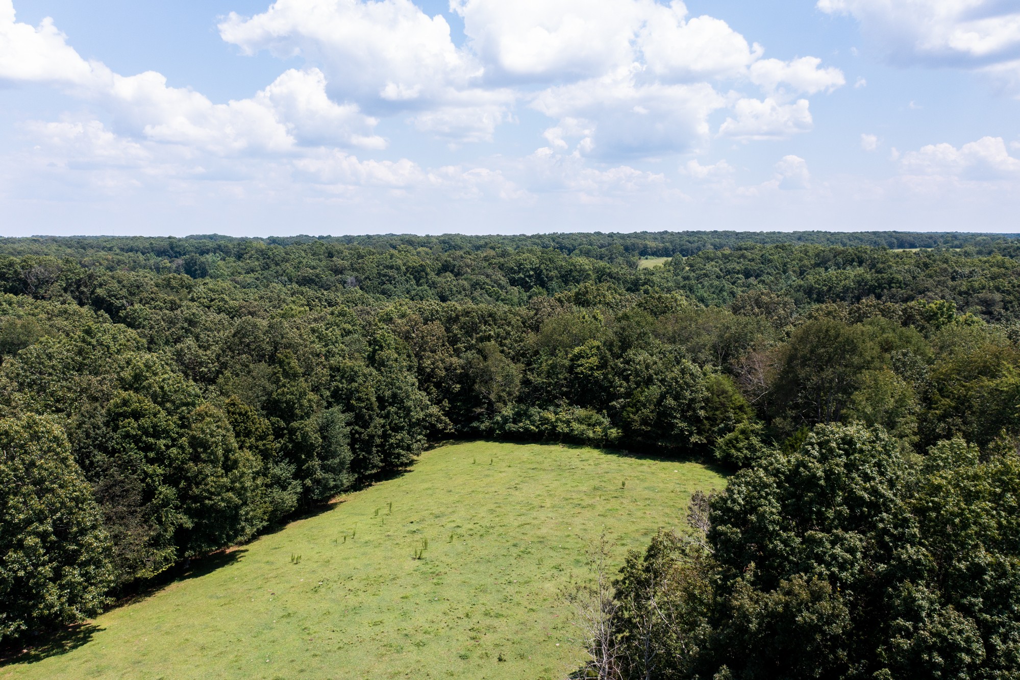 159 Trace Creek Road Hohenwald, TN 38462 - Photo 28 of 42 a view of a big yard with lots of tress in the back