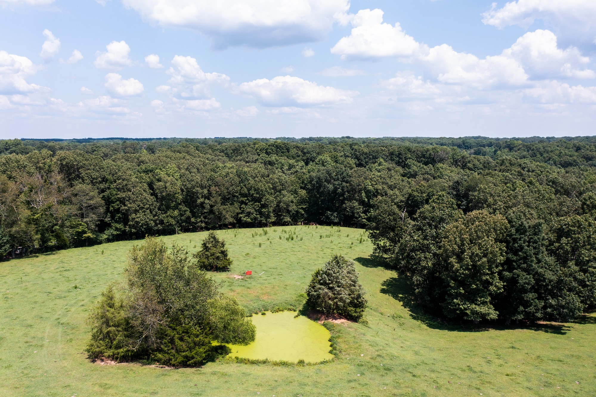 159 Trace Creek Road Hohenwald, TN 38462 - Photo 29 of 42