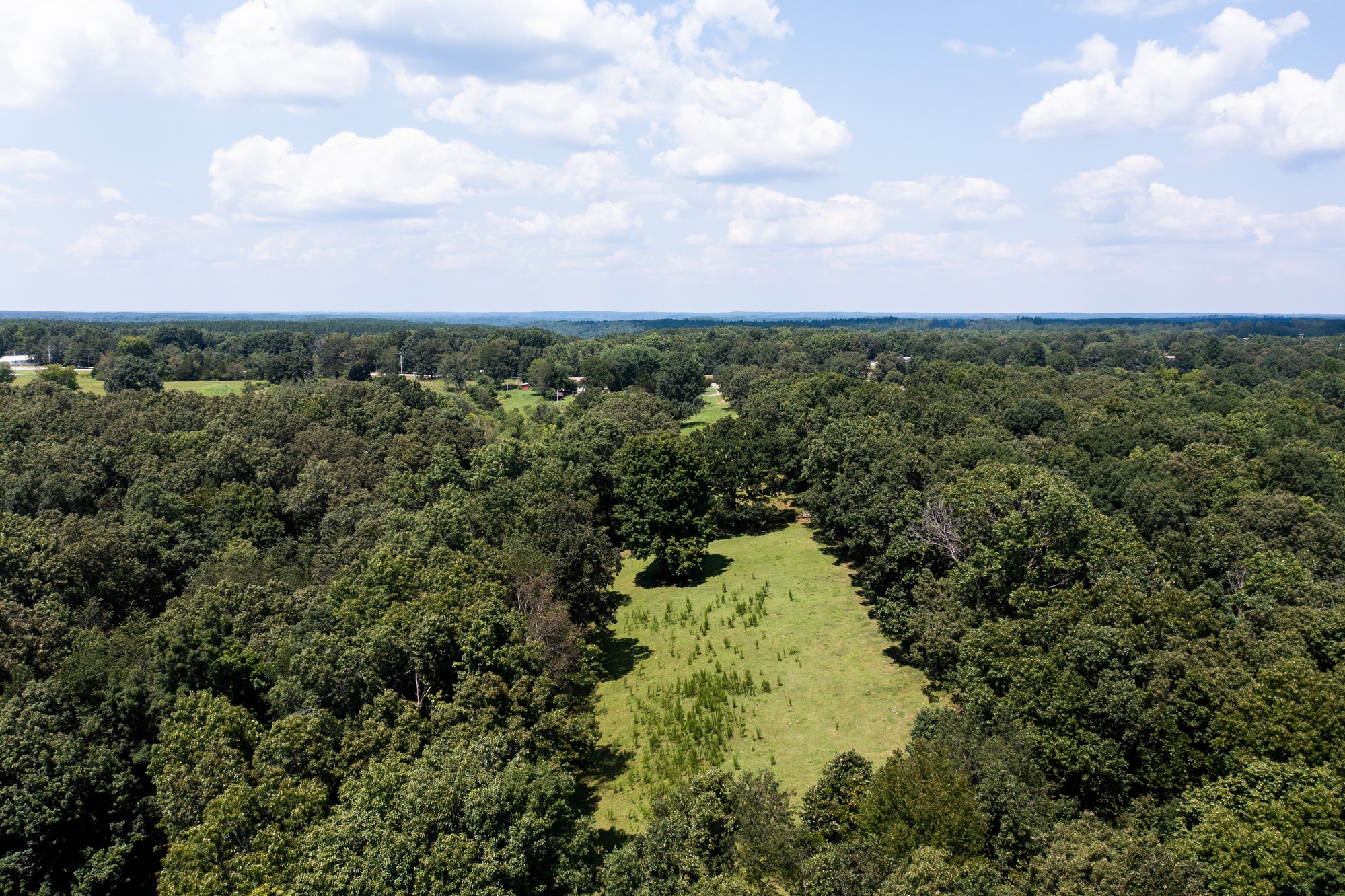 159 Trace Creek Road Hohenwald, TN 38462 - Photo 31 of 42 a view of a lake with houses in back