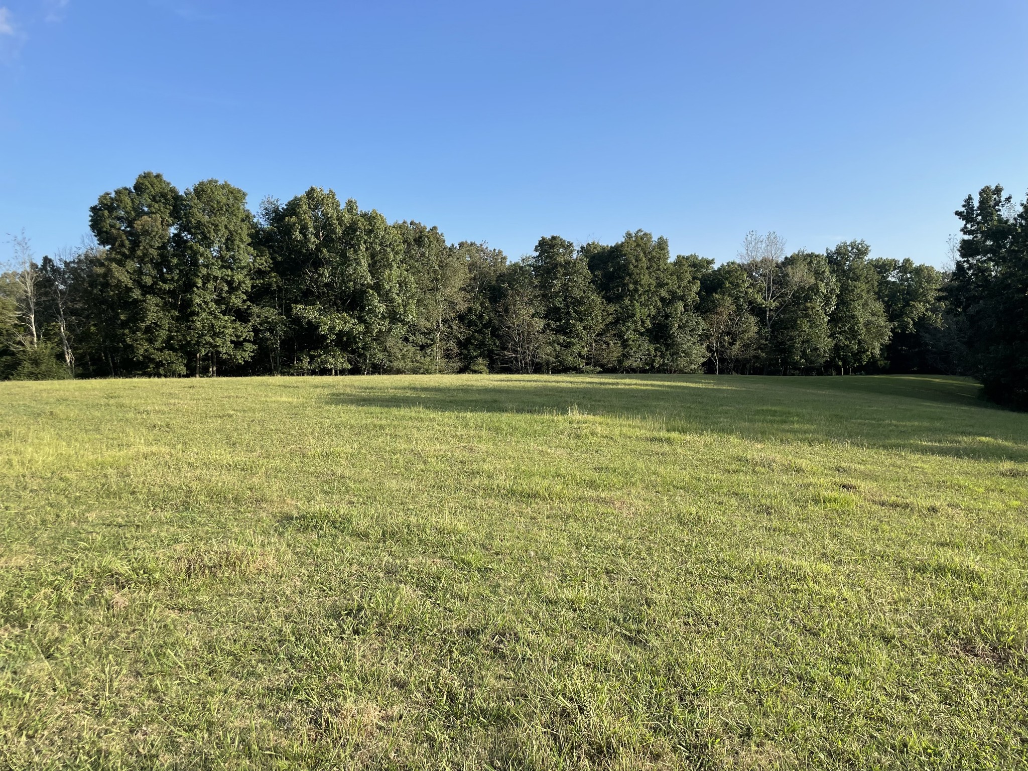 159 Trace Creek Road Hohenwald, TN 38462 - Photo 34 of 42 a view of a green field with trees in the background