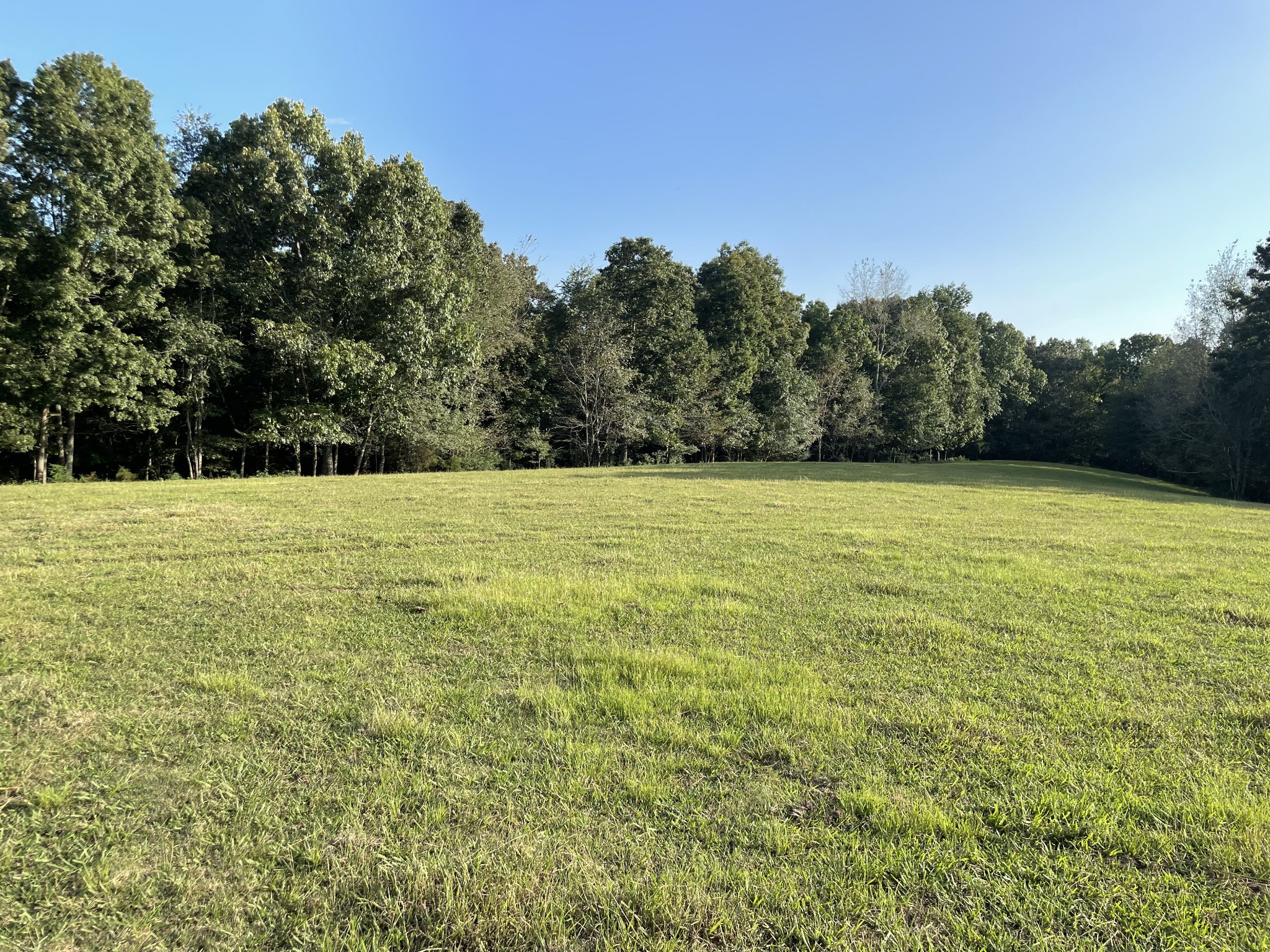 159 Trace Creek Road Hohenwald, TN 38462 - Photo 36 of 42 a view of white pool with a yard